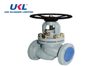 Globe Valve